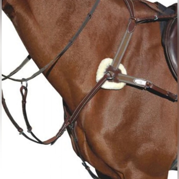 HDR PRO 5 POINT BREASTPLATE - Picture 2 of 3